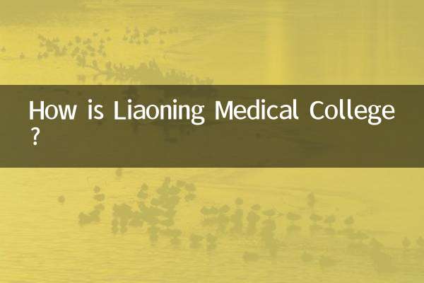 लियाओनिंग मेडिकल कॉलेज कैसा है?