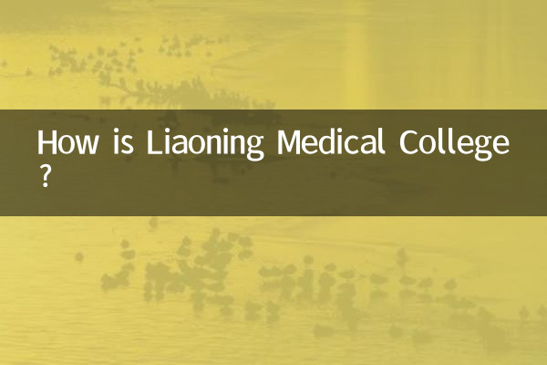 लियाओनिंग मेडिकल कॉलेज कैसा है?