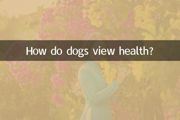 Wie sehen Hunde Gesundheit?