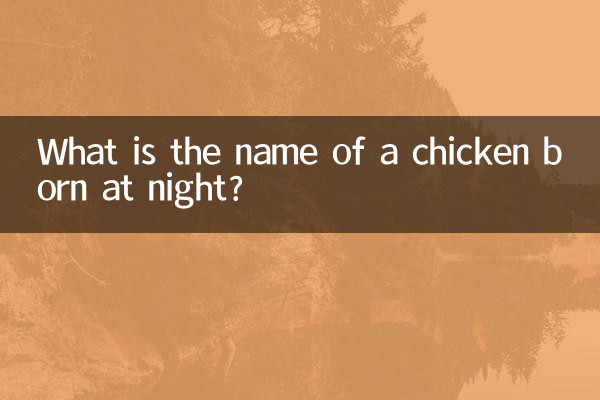 What is the name of a chicken born at night?