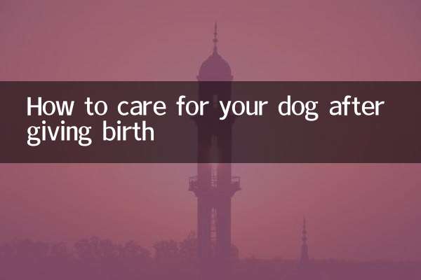 How to care for your dog after giving birth