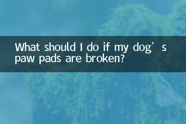 犬の足球が壊れた場合はどうすればよいですか?