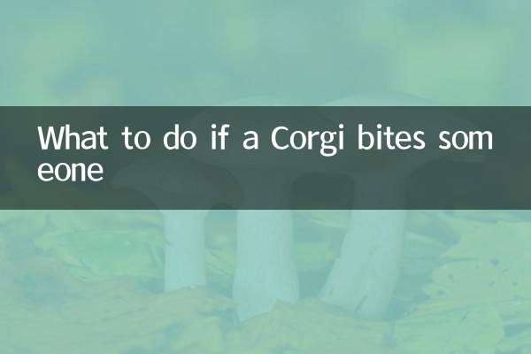 Что делать, если корги кого-то укусил