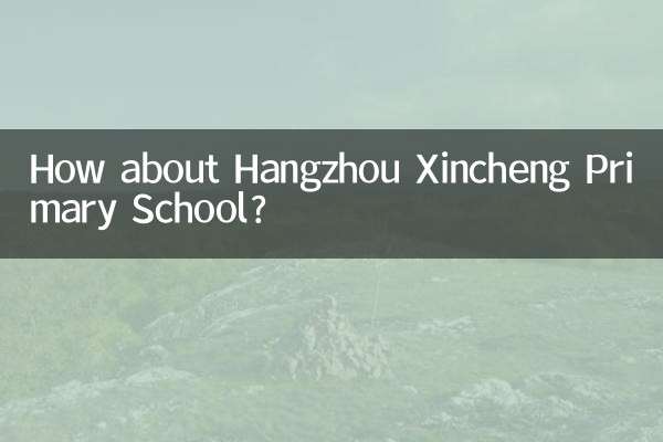Как обстоят дела в начальной школе Синьчэн в Ханчжоу?
