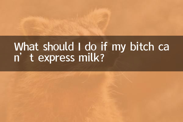 What should I do if my bitch can’t express milk?