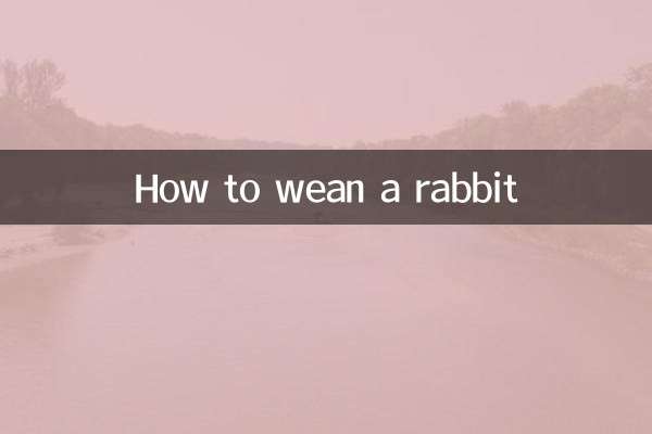 خرگوش کو کیسے دودھ پلایا جائے