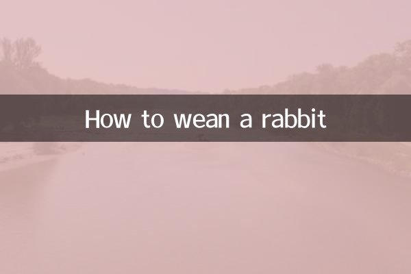 خرگوش کو کیسے دودھ پلایا جائے