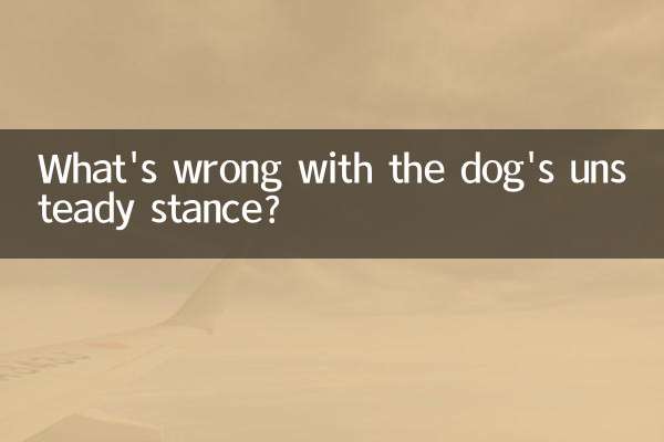 ما هو الخطأ في موقف الكلب غير المستقر؟