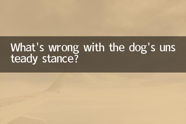 ما هو الخطأ في موقف الكلب غير المستقر؟