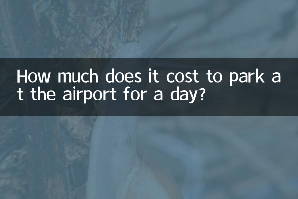 How much does it cost to park at the airport for a day?