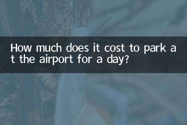 How much does it cost to park at the airport for a day?