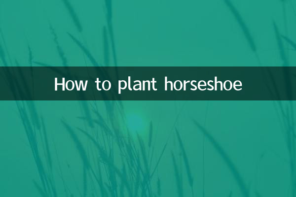 How to plant horseshoe