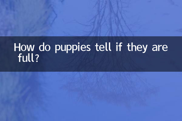 How do puppies tell if they are full?