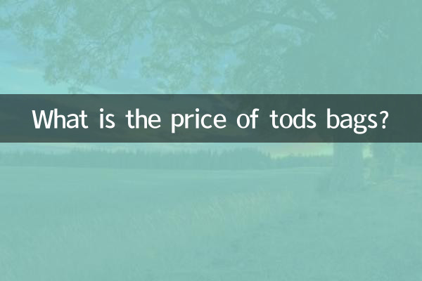 What is the price of tods bags?