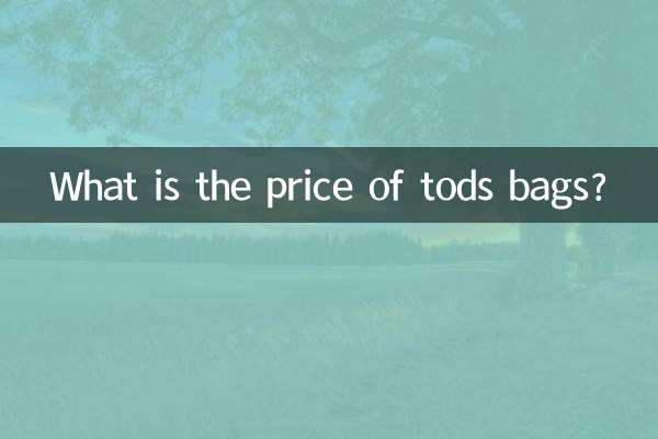 What is the price of tods bags?