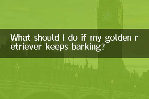 اگر گلدن رتریور من به پارس کردن ادامه داد چه باید بکنم؟