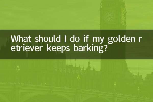 اگر گلدن رتریور من به پارس کردن ادامه داد چه باید بکنم؟