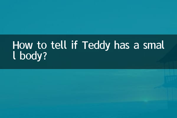 Как определить, что у Тедди маленькое тело?