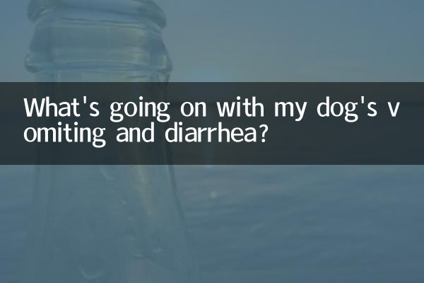 Was ist mit dem Erbrechen und Durchfall meines Hundes los?