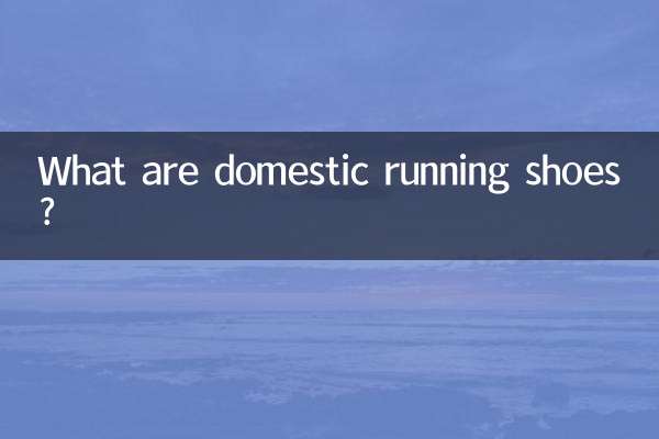 국산 운동화란?