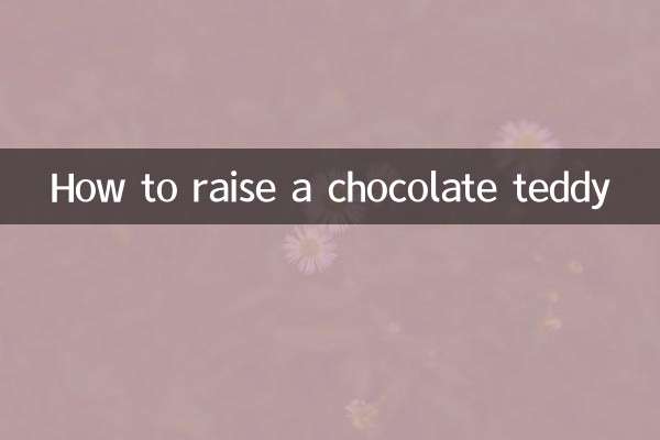 Wie man einen Schokoladen-Teddy großzieht