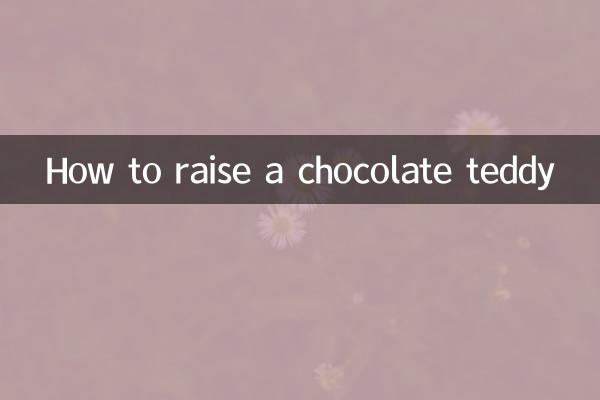 How to raise a chocolate teddy