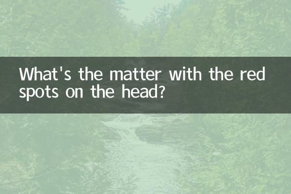 머리에 빨간 반점은 무슨 문제인가요?