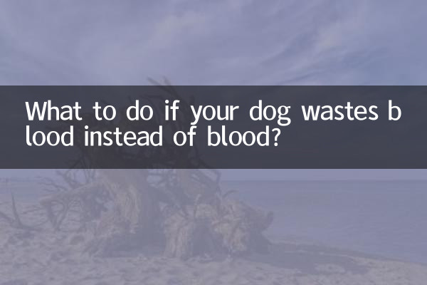 اگر سگ شما خون را به جای خون هدر دهد چه باید کرد؟