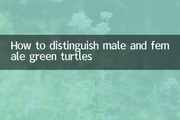 小綠龜怎麼分公母