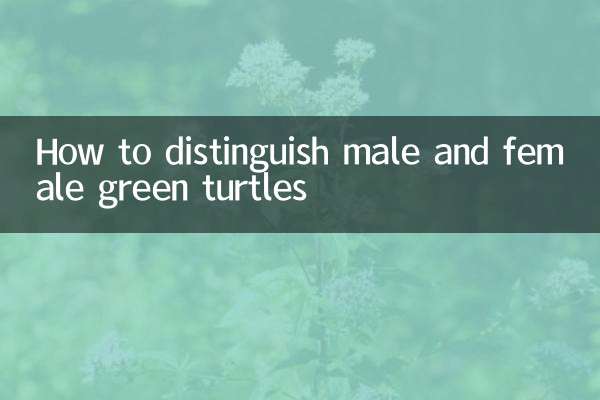 小綠龜怎麼分公母