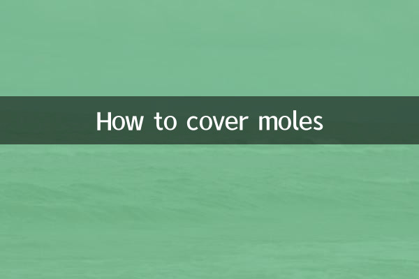 ほくろをカバーする方法