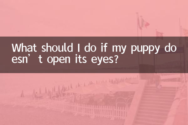 Cosa devo fare se il mio cucciolo non apre gli occhi?