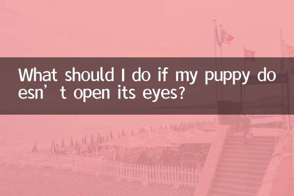 小狗不睁眼怎么办