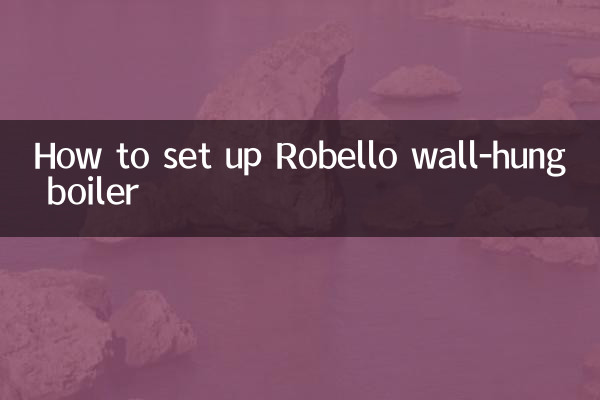 نحوه راه اندازی دیگ دیواری روبلو