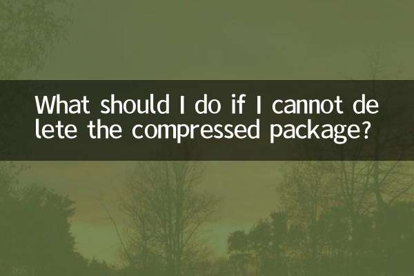 圧縮パッケージを削除できない場合はどうすればよいですか?