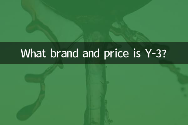 What brand and price is Y-3?