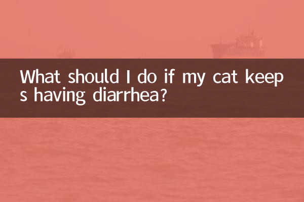 What should I do if my cat keeps having diarrhea?