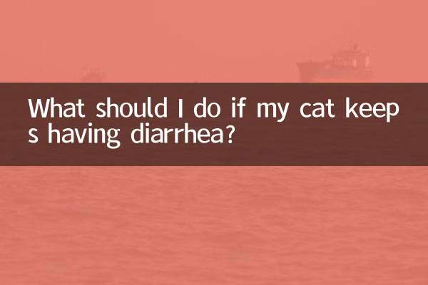 What should I do if my cat keeps having diarrhea?