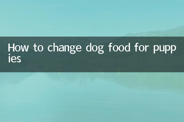 Comment changer la nourriture pour chiens pour chiots