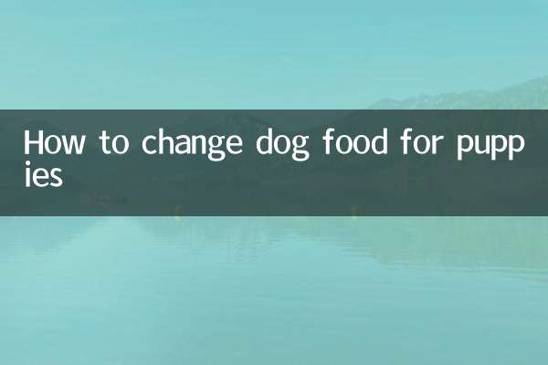 幼犬怎么换狗粮