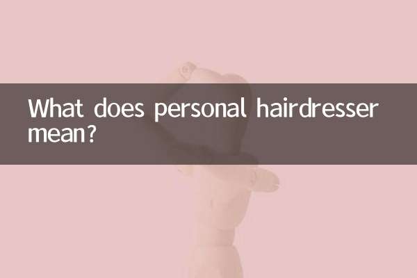 ما هو معنى مصفف شعر شخصي ؟