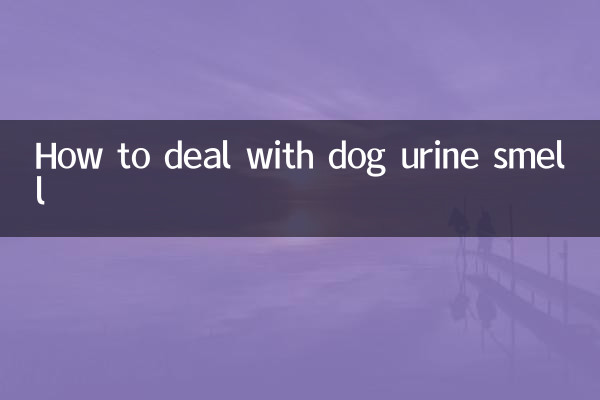 Wie man mit dem Geruch von Hundeurin umgeht