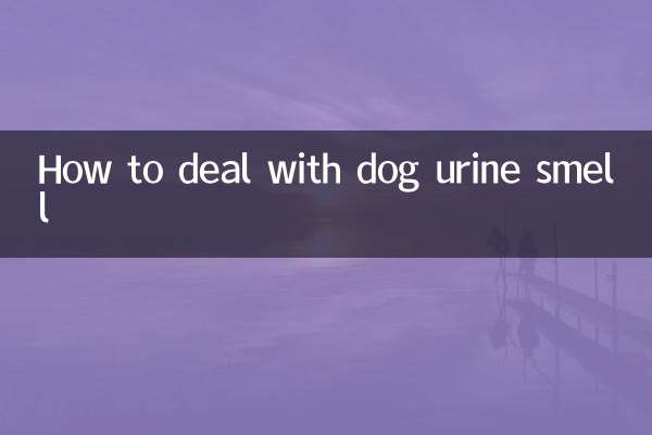 怎麼處理狗尿味