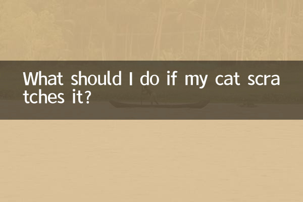 Was soll ich tun, wenn meine Katze daran kratzt?