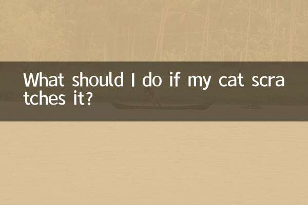 O que devo fazer se meu gato o coçar?