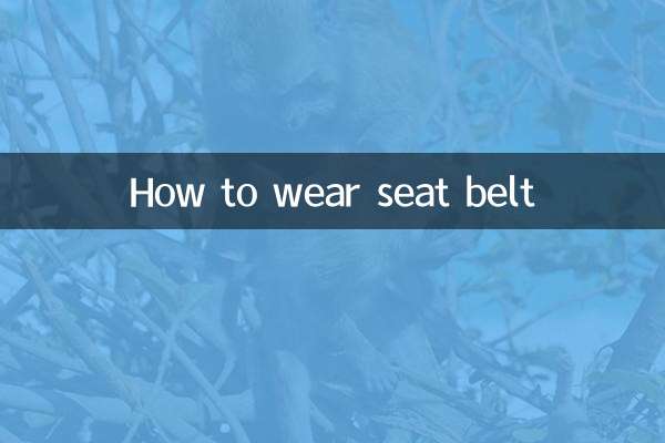 How to wear seat belt