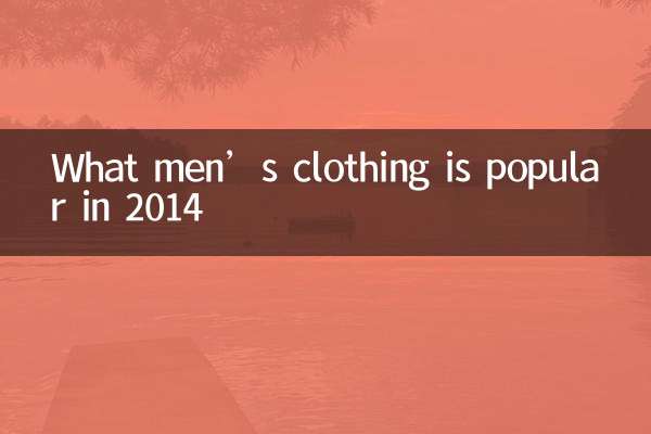 2014年に人気のメンズファッションは？