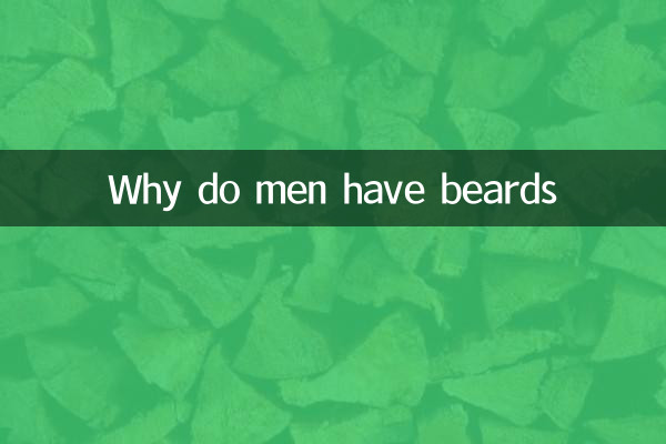 Pourquoi les hommes ont-ils la barbe