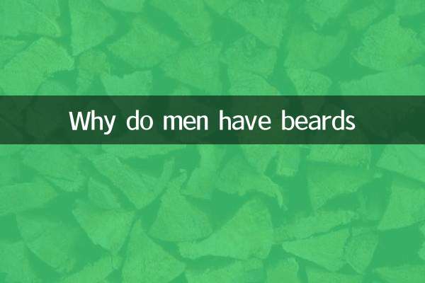 Por que os homens têm barbas