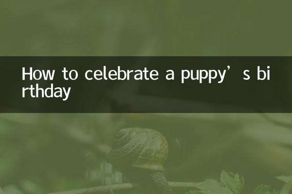 Como comemorar o aniversário de um cachorrinho